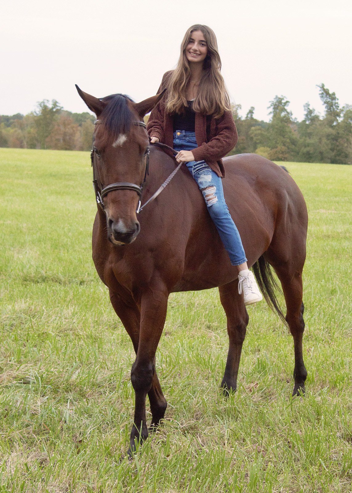 Young rider on a bay in the pasture