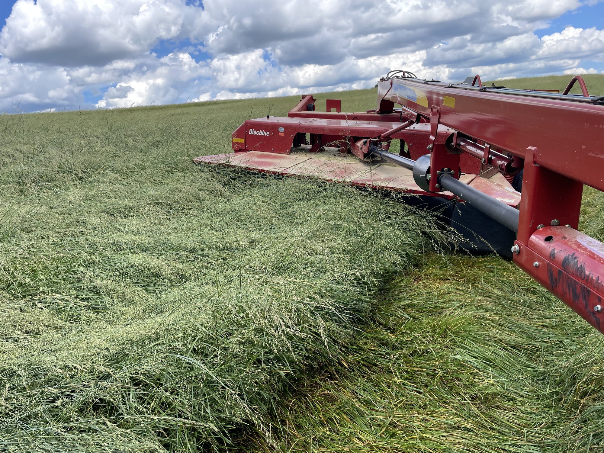 Discbine cutting Fescue into windrows under towering cumulus clouds
