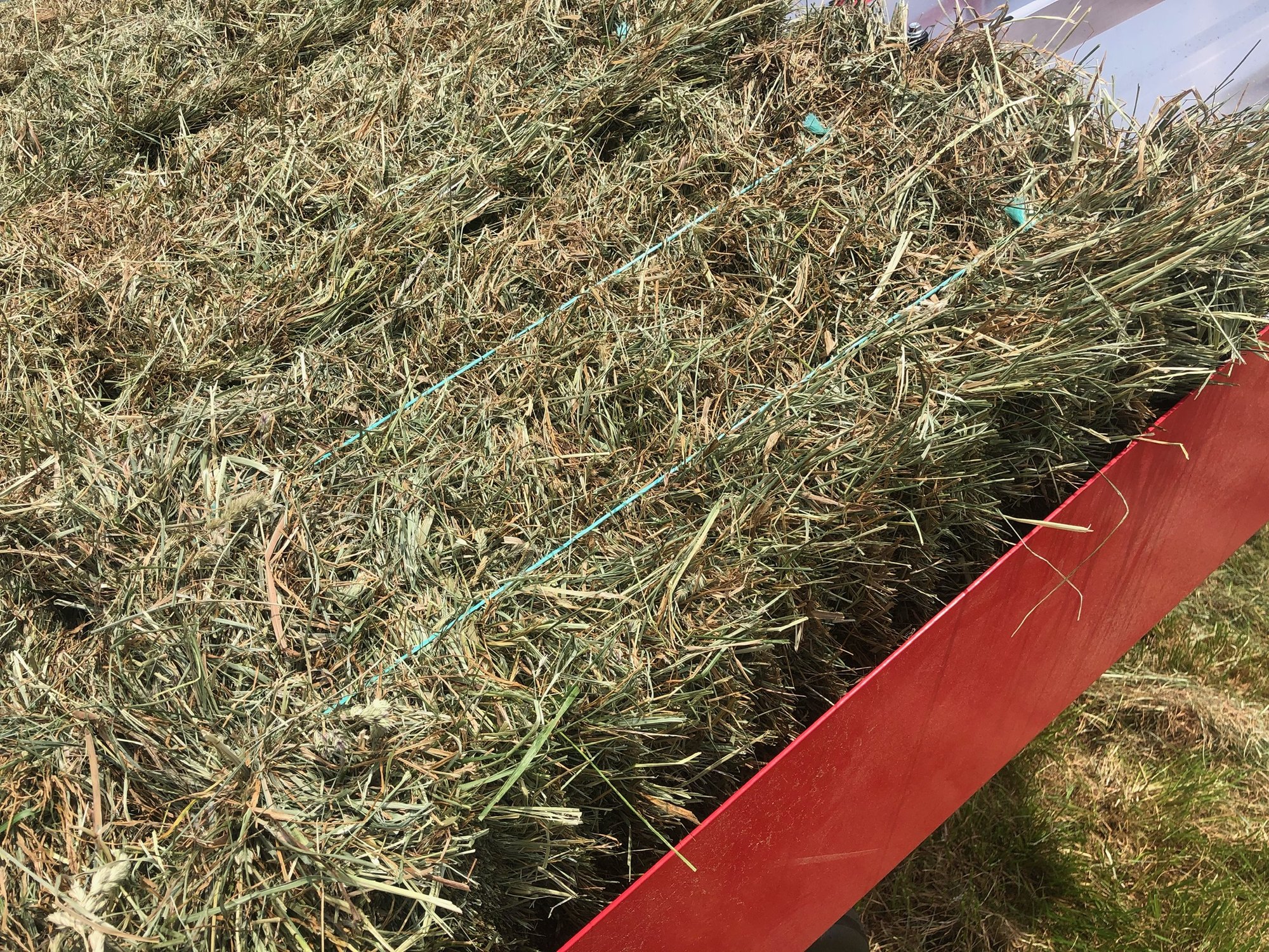 Close-up of fresh-baled premium hay coming off the baler