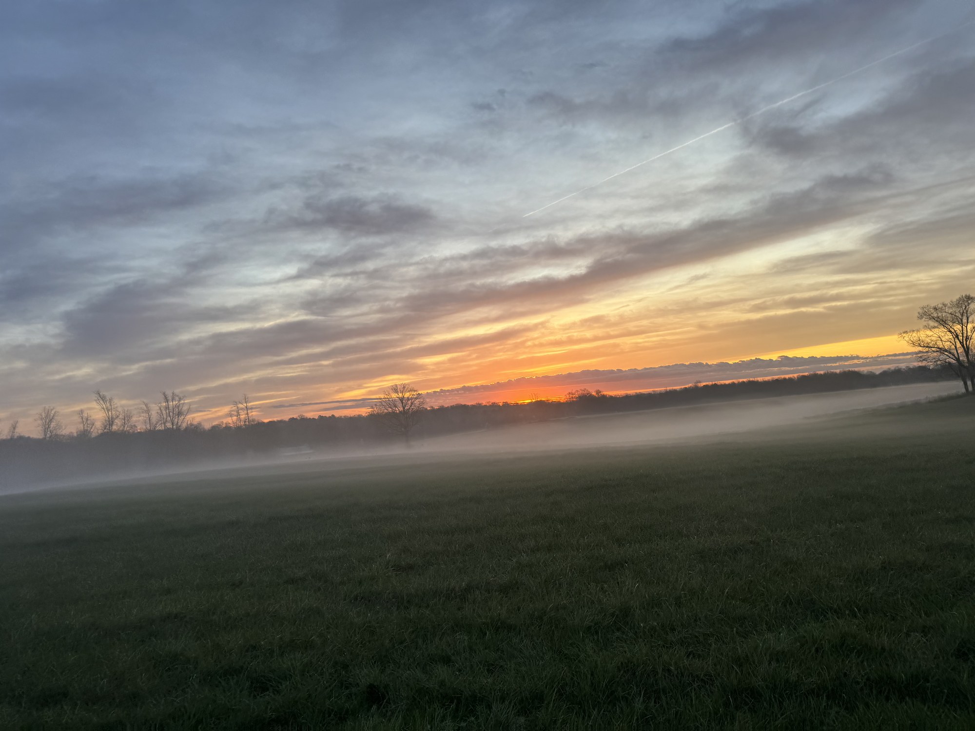 Misty pasture at sunset