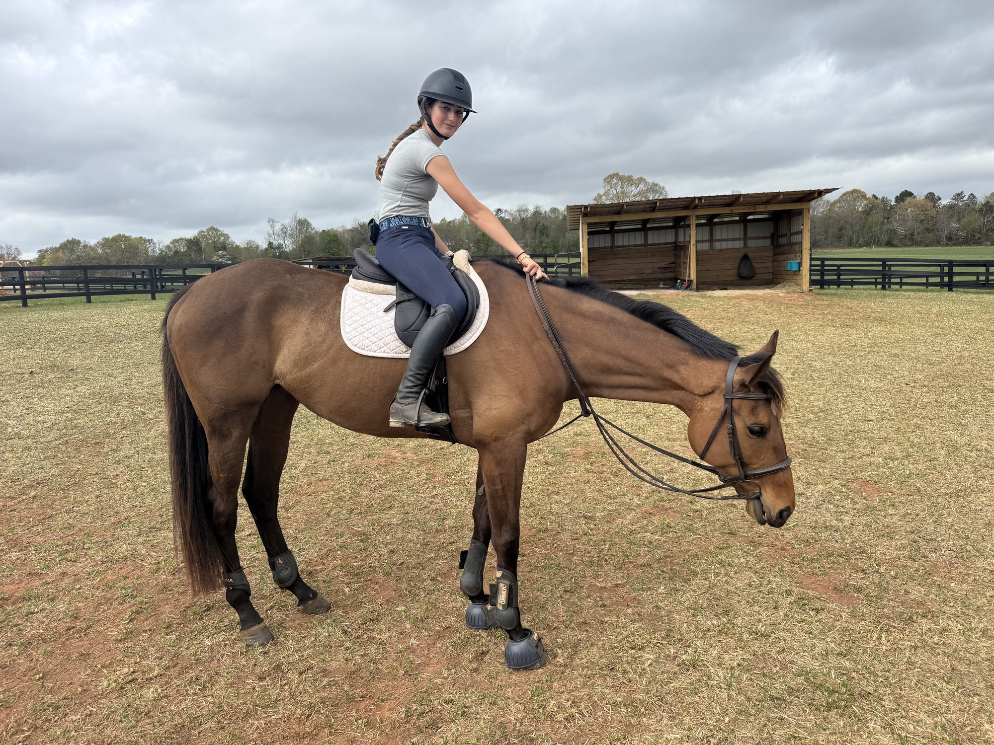 Rider on a buckskin in the arena with the pavilion behind