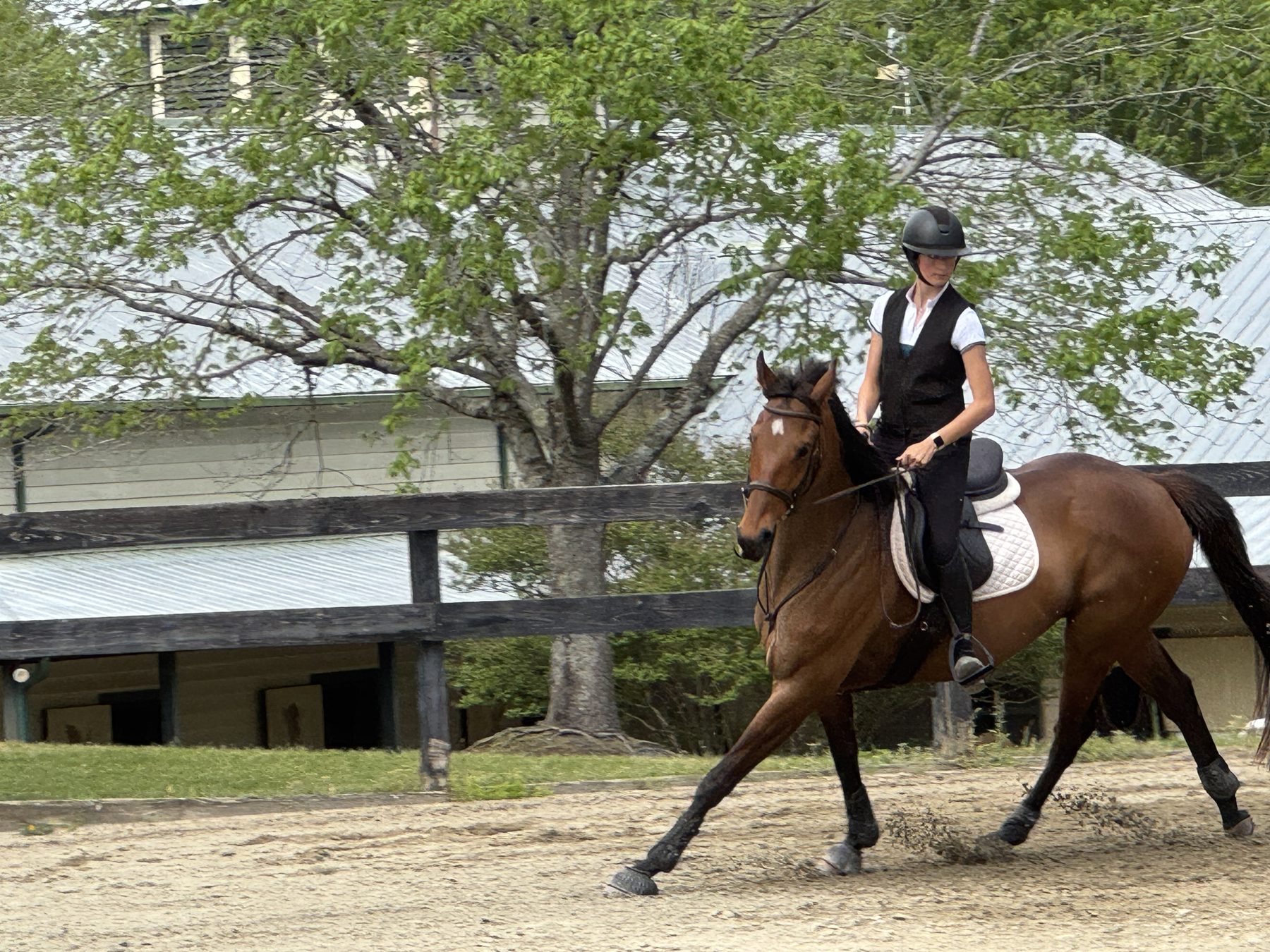 Rider cantering in the arena