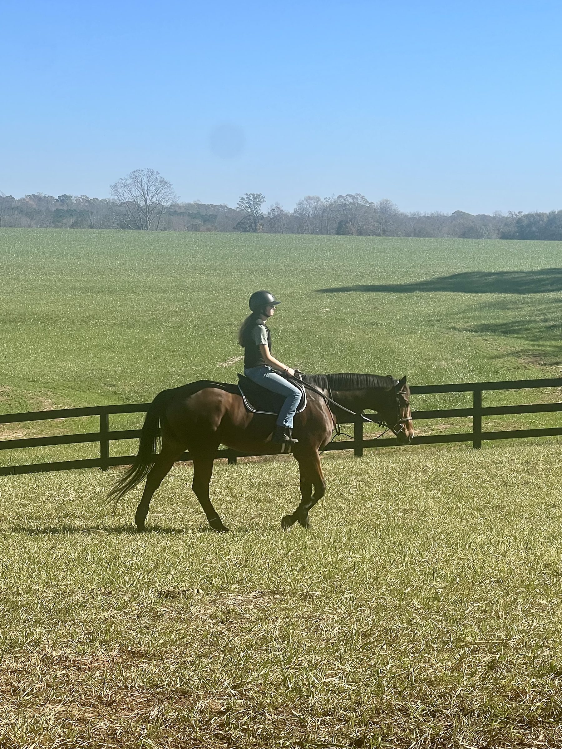 Rider walking through the pasture