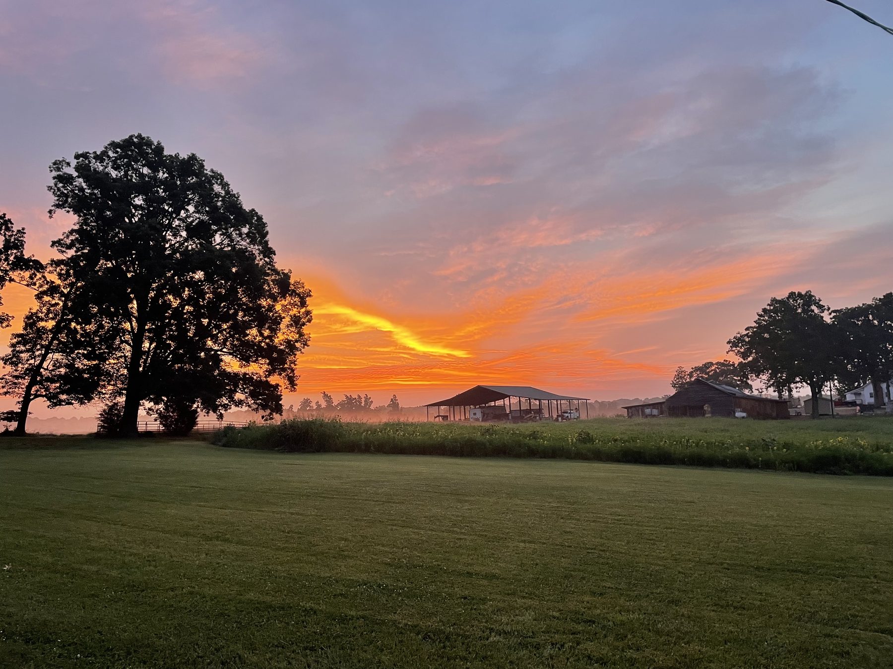 Sunrise over the hay pavilion